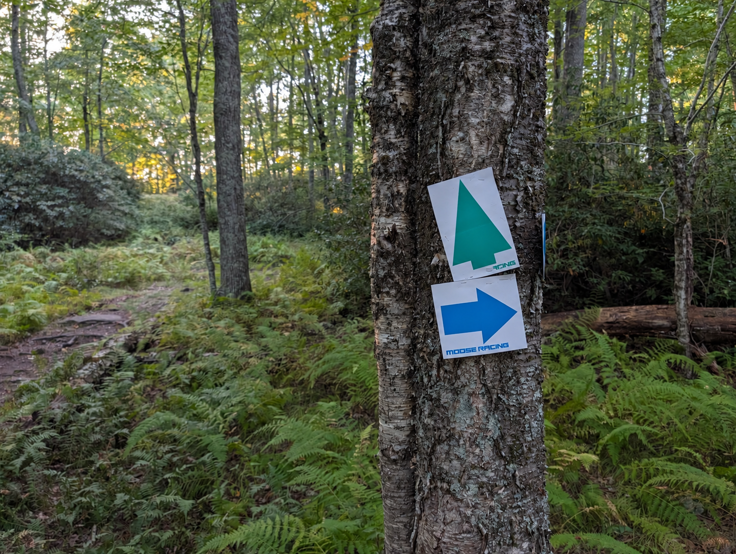 Trail junction sign with green and blue arrows marking two routes at a bike event.